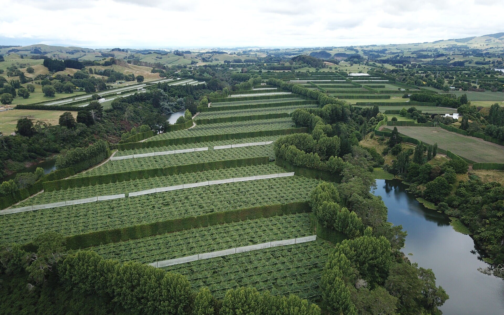 orchard-fly-over